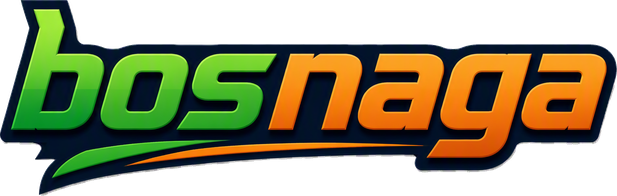 Bosnaga Logo